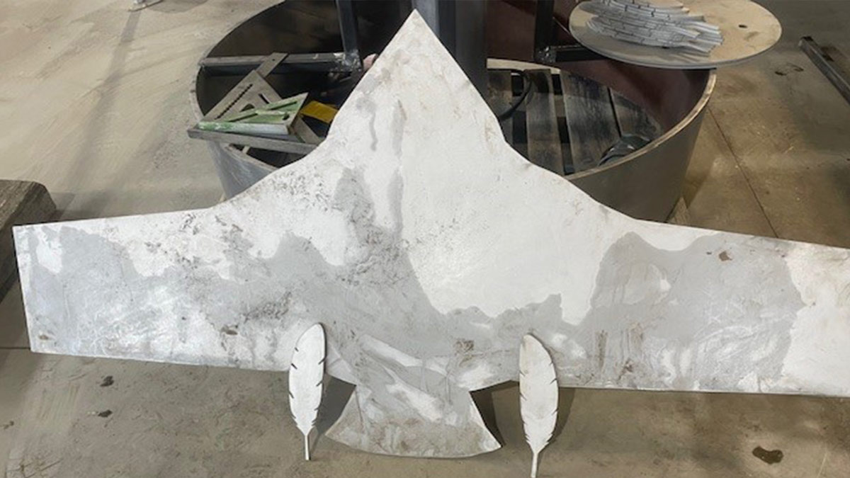 The eagle takes shape