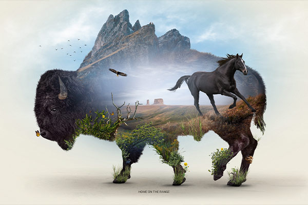 Artwork created for Desktopography.net