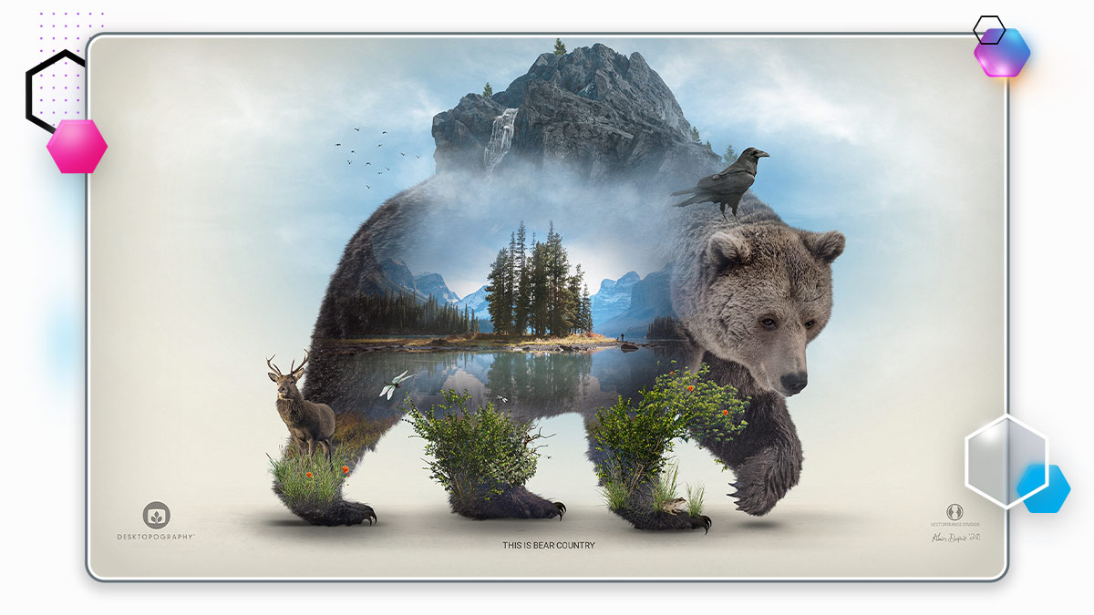 This is Bear Country