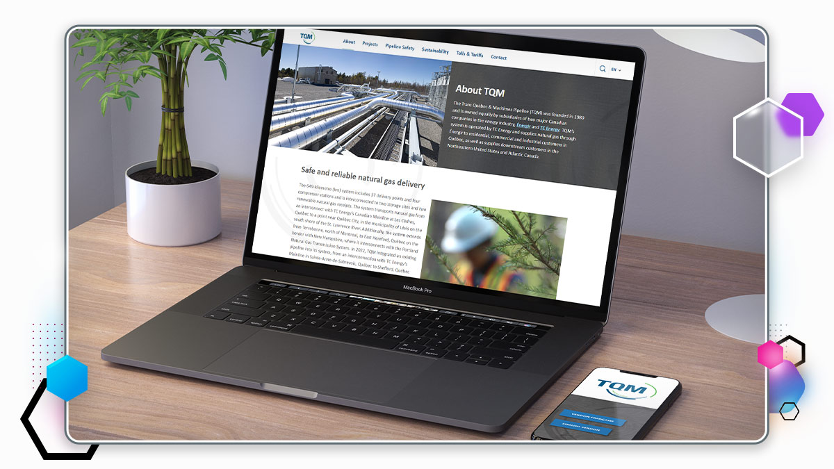 TQM website mockup on devices
